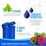 Zipfizz Energy Multi-Vitamin Hydration Drink Mix, Blue Raspberry, 20 ct. - Image 7
