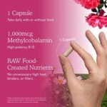 Vitamin Code Raw B-12 - 1,000 MCG Whole Food B12 Methylcobalamin (30 Vegan Capsules) - Image 5