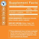 NAC N-Acetyl-L-Cysteine - 600 MG (200 Capsules) - Image 2