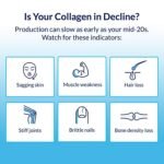 Multi-Source Collagen Powder - 5 Types of Collagen to Support Hair, Skin & Nails - Unflavored (45 Servings) - Image 6