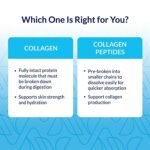 Collagen Peptides Powder - Hair, Skin, Nails & Joint Support - Chocolate (26.8 Oz. / 28 Servings) - Image 8
