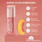 SaltWTR Daily Electrolyte Drink Mix + Gut Support – Summer Peach (0.16 oz./8 Stick Packs)