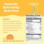 SaltWTR Daily Electrolyte Drink Mix + Functional Ingredients – Variety Pack 5 Flavors (8 Stick Packs)