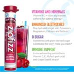 Zipfizz Energy Multi-Vitamin Hydration Drink Mix, Black Cherry, 20 ct. - Image 4