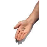 BodyDynamix® Super Citrimax® Garcinia Cambogia - Image 4