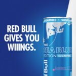 Red Bull Sugar Free Sea Blue Edition 8.4 fl. oz., 24 pk. - Image 4