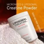 Codeage Liposomal Creatine Powder - Unflavored (90 Servings) - Image 4