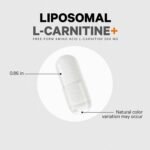Codeage Liposomal L-Carnitine+ - 90 Capsules (90 Servings) - Image 5