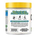 FINAFLEX® Creatine Gummies - Blueberry Lemonade - 120 Gummies (30 Servings) - Image 3