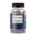 SNAP® Supplements L-Carnitine Gummies - Sugar Free Blueberry - 60 Gummies (30 Servings) - Image 2