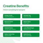 Create Wellness Creatine Monohydrate Gummies - Sour Green Apple - 45 Gummies (15 Servings) - Image 8