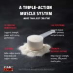 GNC AMP Creabolic™ - Tropical Punch (30 Servings) - Image 13