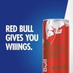 Red Bull Energy Watermelon, 8.4 oz., 24 pk. - Image 4