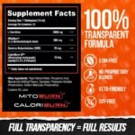 Alpha Lion Burn2o - Sour Gummy Worm - 15 fl oz. (31 Servings) - Image 9